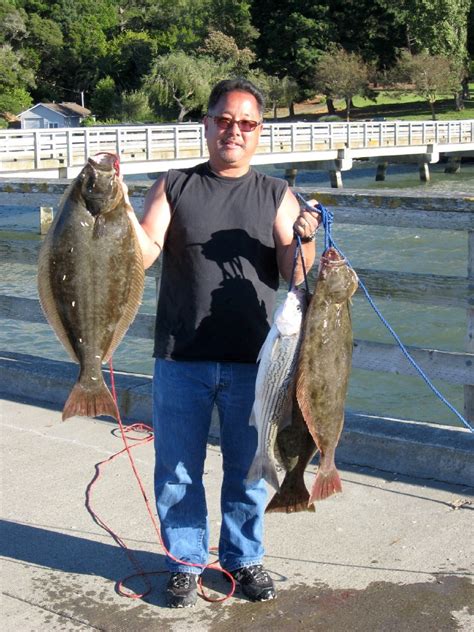 fish paradise|Pier Fishing in California: The Complete Guide .